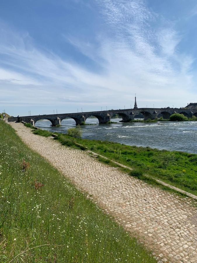 T2 - Au Calme Royaloire - Chateau A Vue - Luxe, Renove Blois Zewnętrze zdjęcie